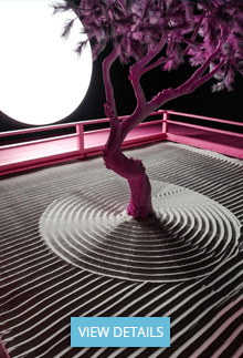 Daniel Arsham: Lunar Garden